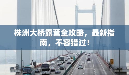 株洲大桥露营全攻略，最新指南，不容错过！