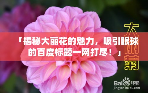 网站案例 第8页