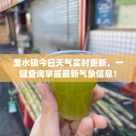 里水镇今日天气实时更新，一键查询掌握最新气象信息！