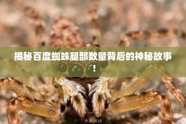 揭秘百度蜘蛛腿部数量背后的神秘故事！