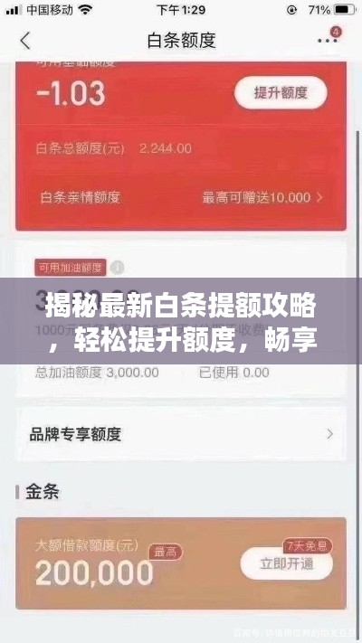 揭秘最新白条提额攻略，轻松提升额度，畅享便捷生活！