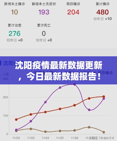 沈阳疫情最新数据更新，今日最新数据报告！