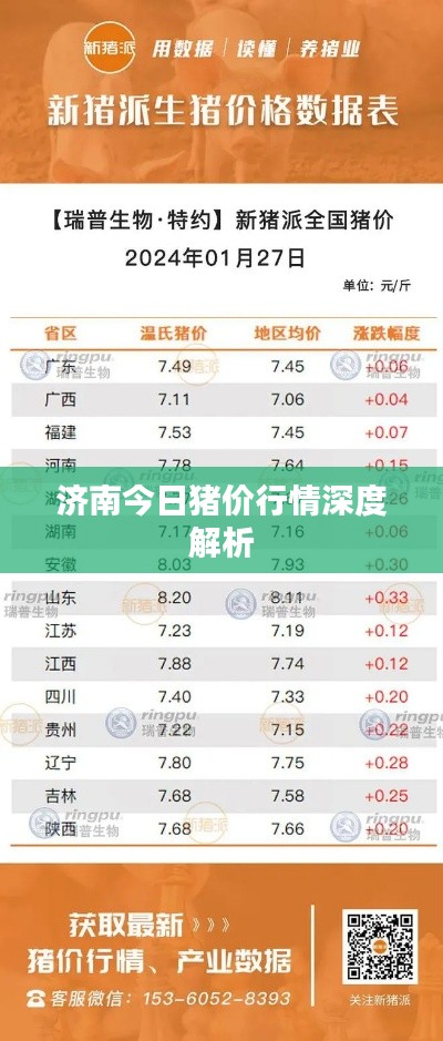 济南今日猪价行情深度解析