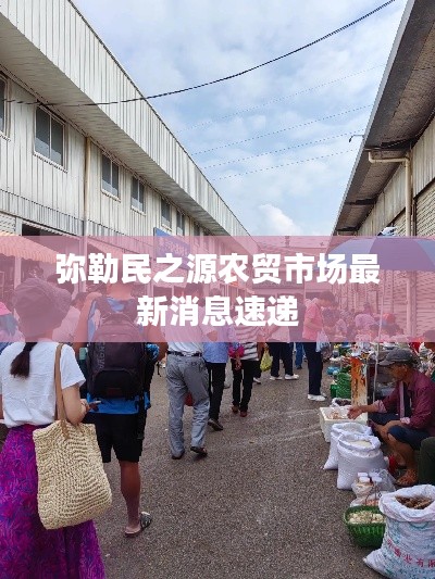 弥勒民之源农贸市场最新消息速递