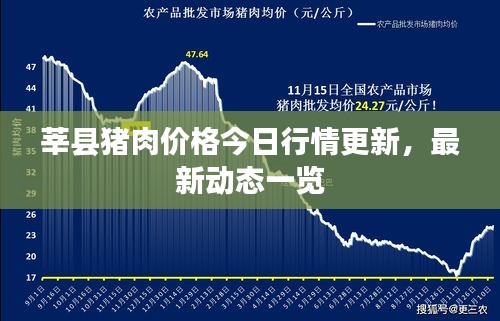 莘县猪肉价格今日行情更新，最新动态一览