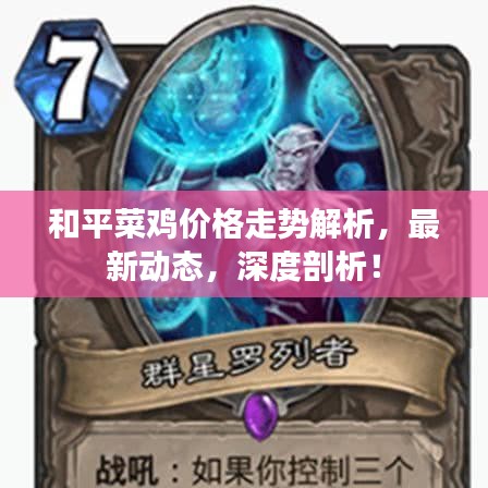 和平菜鸡价格走势解析，最新动态，深度剖析！