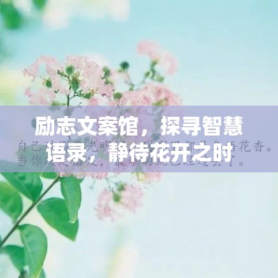 励志文案馆，探寻智慧语录，静待花开之时