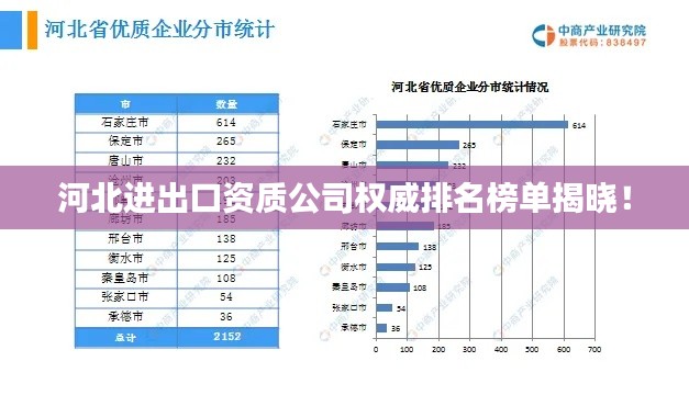 河北进出口资质公司权威排名榜单揭晓！