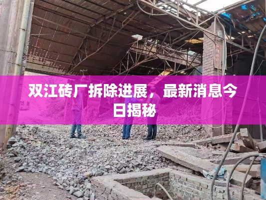 双江砖厂拆除进展，最新消息今日揭秘