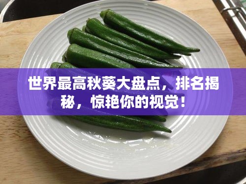 世界最高秋葵大盘点，排名揭秘，惊艳你的视觉！