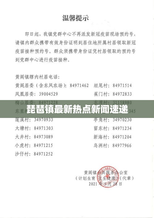 琵琶镇最新热点新闻速递