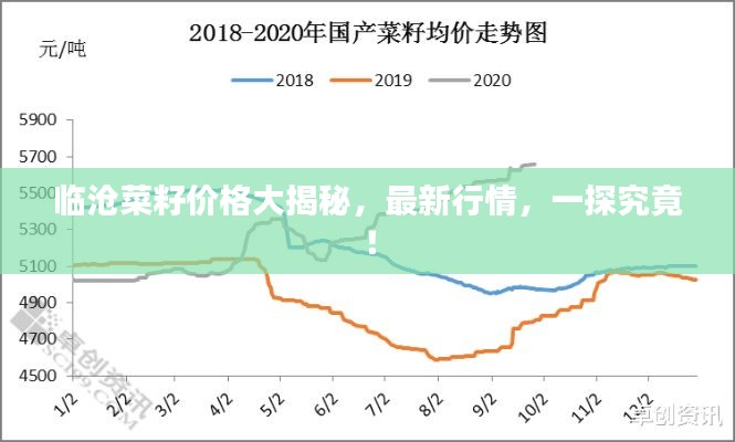 临沧菜籽价格大揭秘，最新行情，一探究竟！