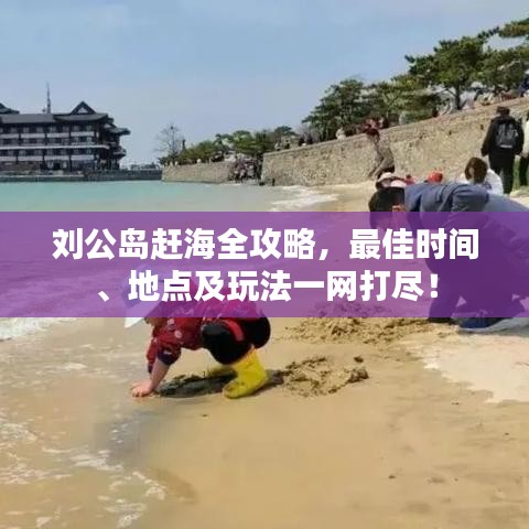 刘公岛赶海全攻略，最佳时间、地点及玩法一网打尽！