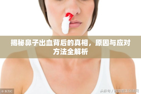 揭秘鼻子出血背后的真相，原因与应对方法全解析