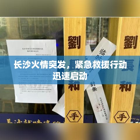 长沙火情突发，紧急救援行动迅速启动