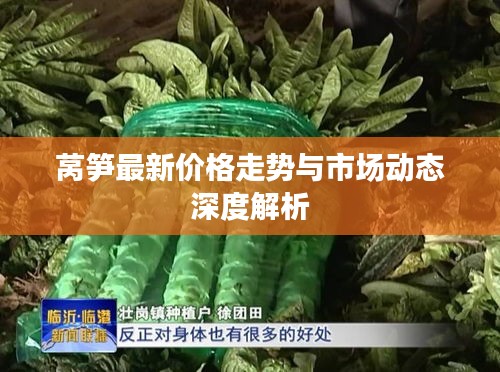 莴笋最新价格走势与市场动态深度解析