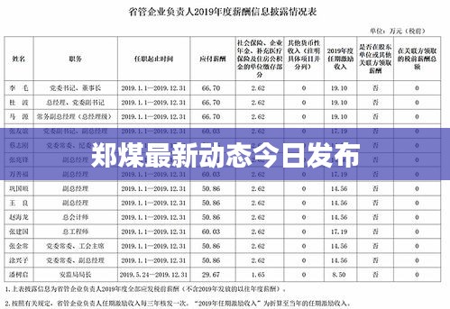 郑煤最新动态今日发布