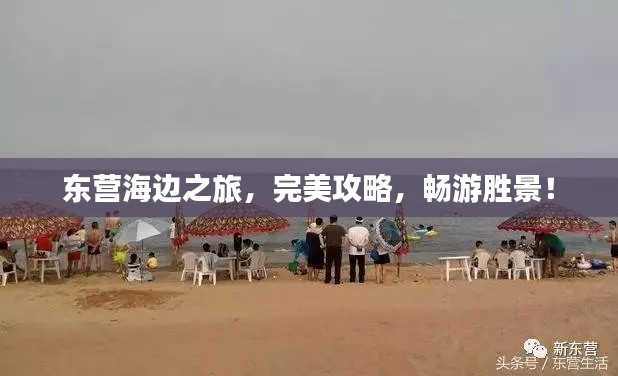 东营海边之旅，完美攻略，畅游胜景！