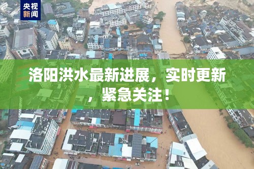 洛阳洪水最新进展，实时更新，紧急关注！