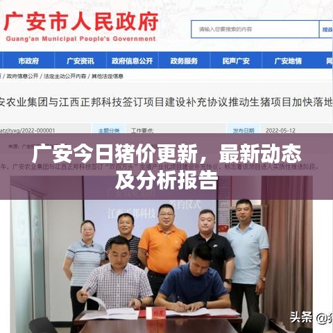 广安今日猪价更新，最新动态及分析报告
