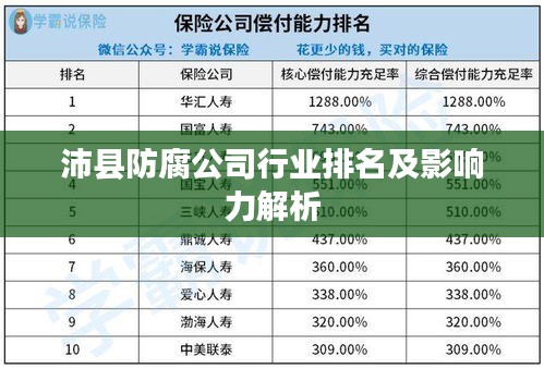 沛县防腐公司行业排名及影响力解析