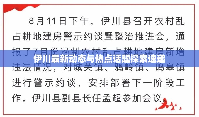 伊川最新动态与热点话题探索速递