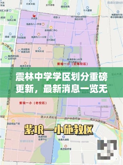 震林中学学区划分重磅更新，最新消息一览无余！