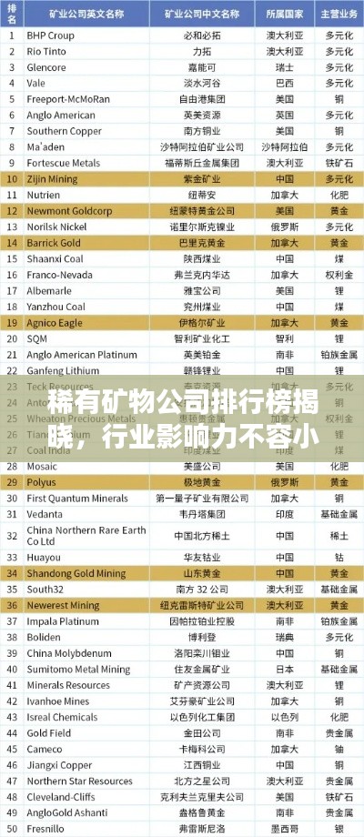 稀有矿物公司排行榜揭晓，行业影响力不容小觑
