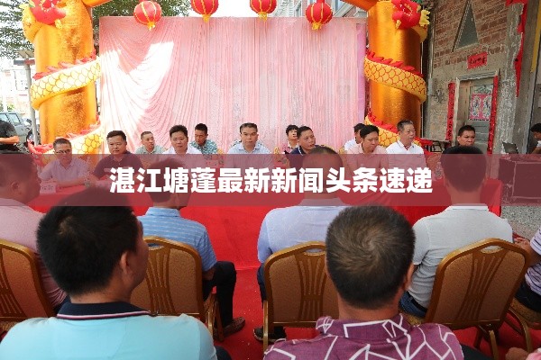 湛江塘蓬最新新闻头条速递