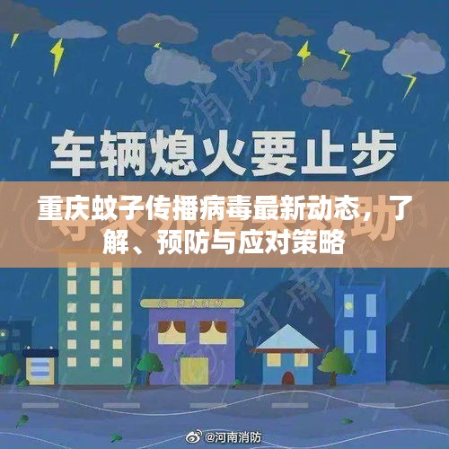 重庆蚊子传播病毒最新动态，了解、预防与应对策略