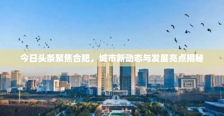 今日头条聚焦合肥，城市新动态与发展亮点揭秘