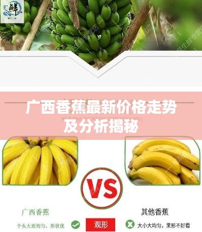 广西香蕉最新价格走势及分析揭秘