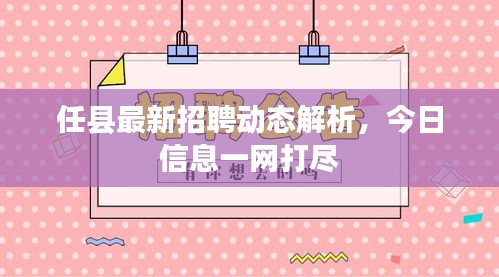 任县最新招聘动态解析，今日信息一网打尽