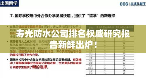 寿光防水公司排名权威研究报告新鲜出炉！