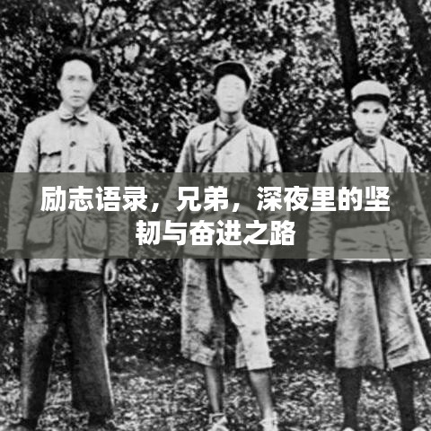励志语录，兄弟，深夜里的坚韧与奋进之路