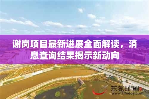 谢岗项目最新进展全面解读，消息查询结果揭示新动向