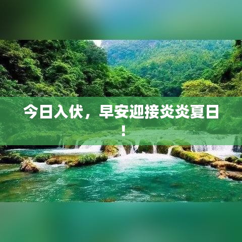 今日入伏，早安迎接炎炎夏日！