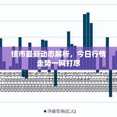 债市最新动态解析，今日行情走势一网打尽