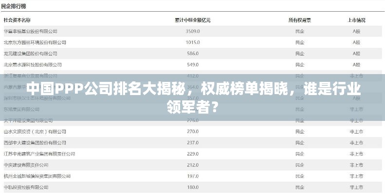中国PPP公司排名大揭秘，权威榜单揭晓，谁是行业领军者？