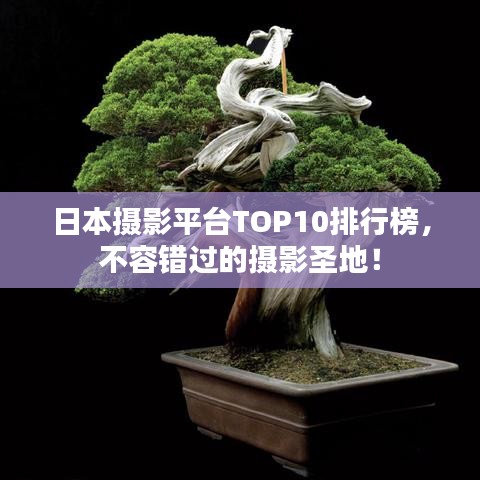 日本摄影平台TOP10排行榜，不容错过的摄影圣地！