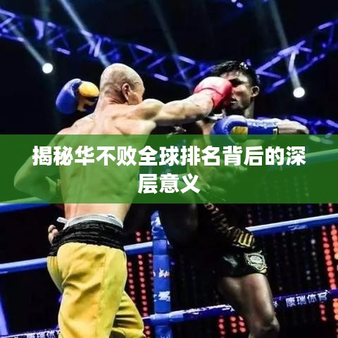 揭秘华不败全球排名背后的深层意义