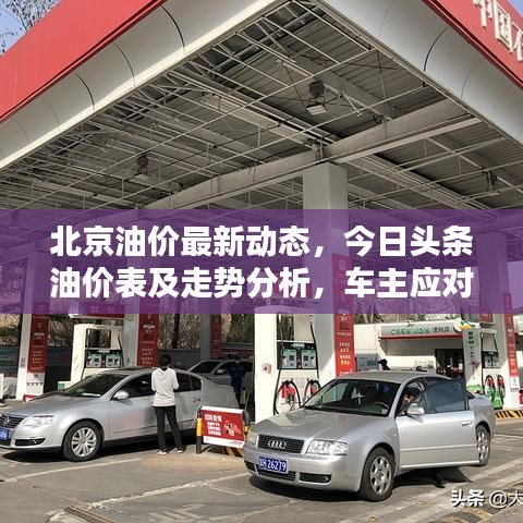 北京油价最新动态，今日头条油价表及走势分析，车主应对建议全攻略