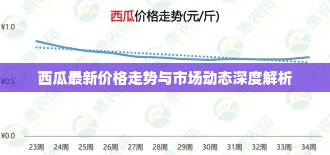 西瓜最新价格走势与市场动态深度解析