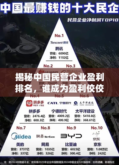 揭秘中国民营企业盈利排名，谁成为盈利佼佼者？