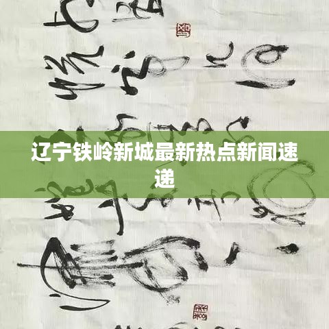 辽宁铁岭新城最新热点新闻速递