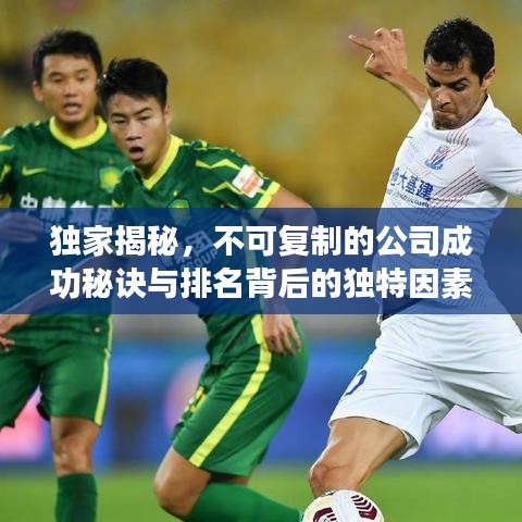 独家揭秘，不可复制的公司成功秘诀与排名背后的独特因素