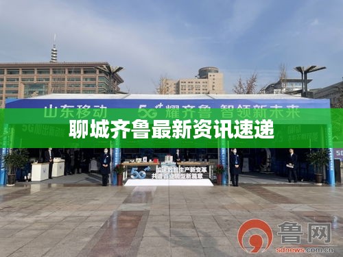 聊城齐鲁最新资讯速递