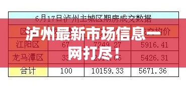 泸州最新市场信息一网打尽！