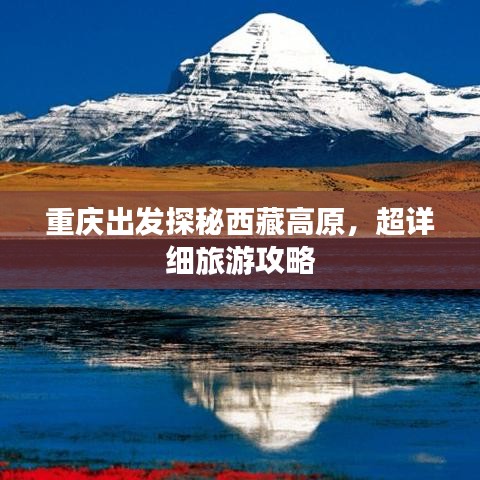 候鸟南飞
