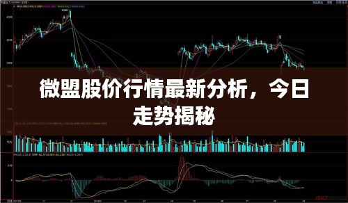 朴素无华